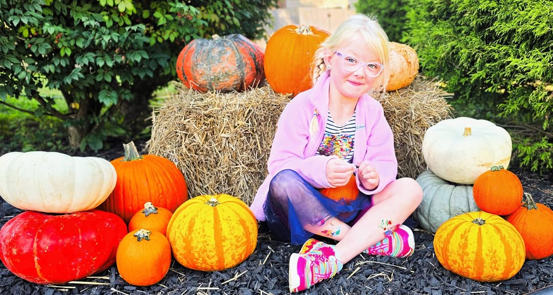 Student sitting with pumpkins